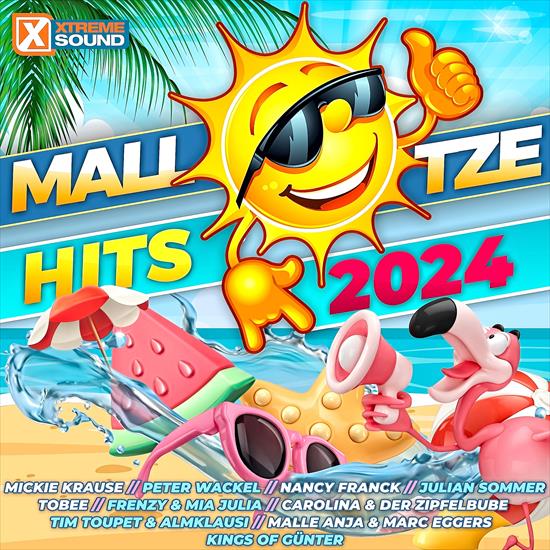 2024 - VA - Mallotze Hits 2024 CBR 320 - VA - Mallotze Hits 2024 - Front.png