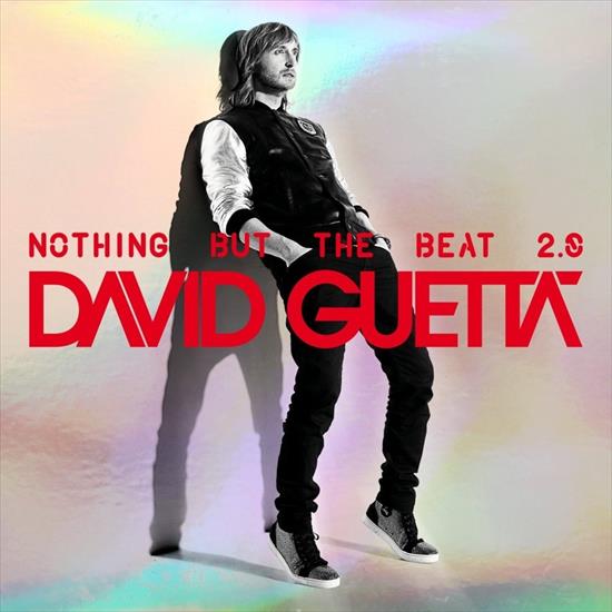 Nothing But The Beat 2.0 - cover.jpg