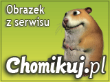 Koronki, wykończenia1 - zxcv.jpeg