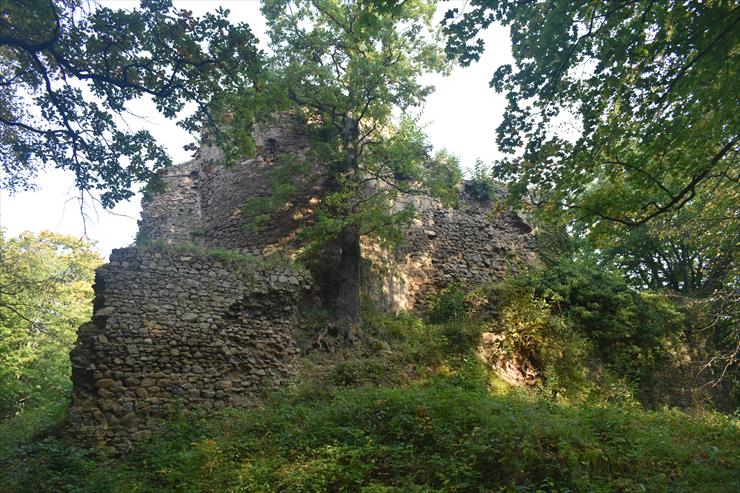 2021.09.27 01 - Cieszów - Ruiny zamku książęcego. Zamek Cisy - 010.JPG