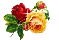 GIFY RUCHOME1 - branche-roses.gif